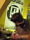 sd_11alfdio11.jpg